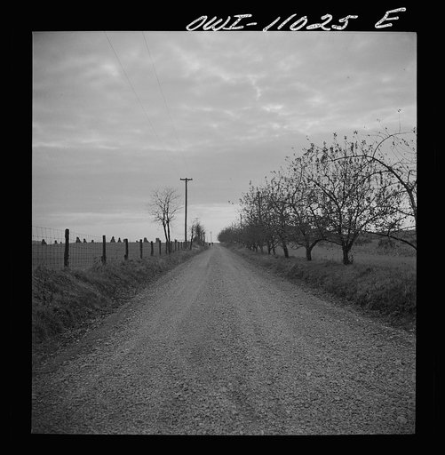 Lancaster County, Pennsylvania. Children on their way home from school on a farm road
