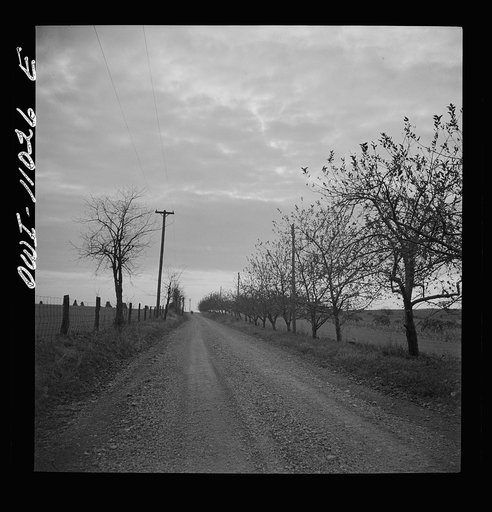 Lancaster County, Pennsylvania. Children on their way home from school on a farm road