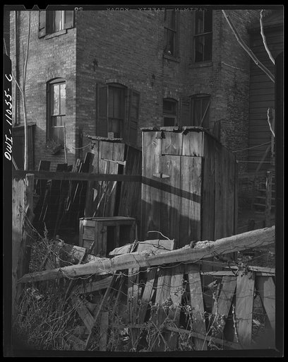 Washington (Southwest section), D.C. Back houses in the Negro districts