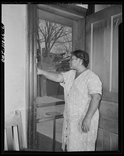 Washington (southwest section), D.C. Wooden privies in the Negro area