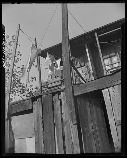 Washington (southwest section), D.C. Wooden privies in the Negro area