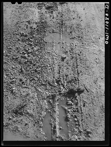 Lititz (vicinity), Pennsylvania. Farm road after rain