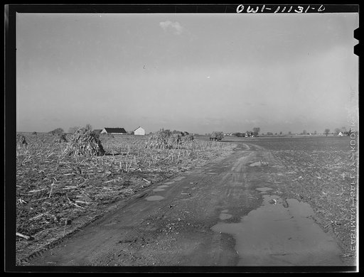 Lititz, Pennsylvania (vicinity). Load of fodder being carried from the field to a barn