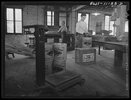 Lititz, Pennsylvania. Lititz Springs Pretzel Company, owned by Lewis C. Haines (background) who is unloading a tray of pretzels which has come up on a dumb waiter from the baking room below. His son Rob weighs them and packs them in cans. Lititz was the first town in America where pretzels were made