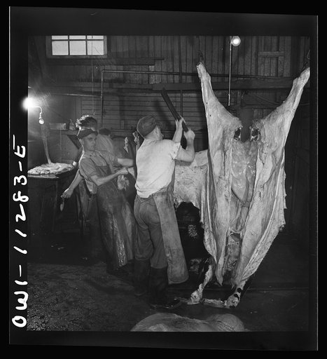 Untitled photo, possibly related to: Lititz, Pennsylvania. Hoisting a slaughtered steer in Benjamin Lutz's slaughterhouse