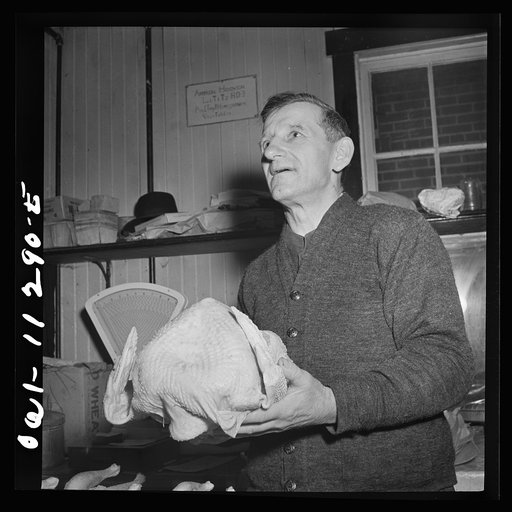 Lititz, Pennsylvania. Mennonite farmer is proud of his specially fed "double-breasted" turkeys