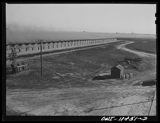 Sunray, Texas. Carbon black plant. Gas is burned in 350 of these long low buildings called "doghouses"