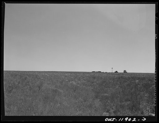 Gaines County, Texas. Farmstead