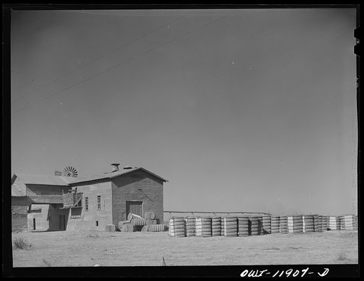 Dora, New Mexico. Cotton gin