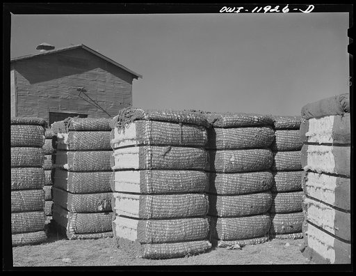 Dora, New Mexico. Cotton gin