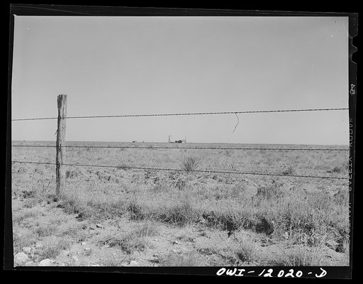Roosevelt County, New Mexico. Farmstead