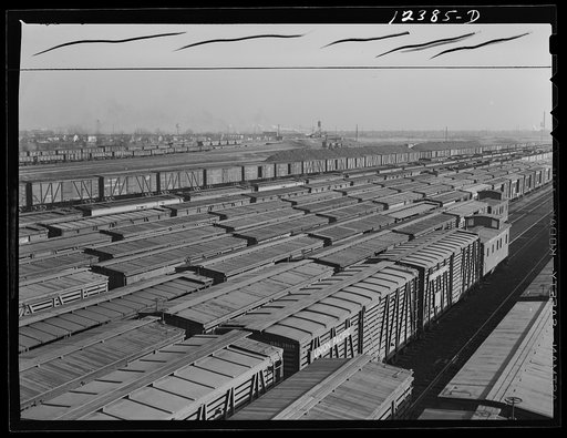 Chicago, Illinois. Cattle cars in one of the Chicago and Northwestern Railroad yards