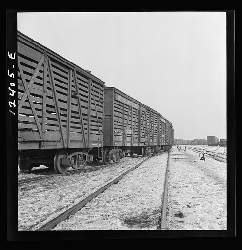 Untitled photo, possibly related to: Chicago, Illinois. Switchman at a Chicago and Northwestern Railroad yard