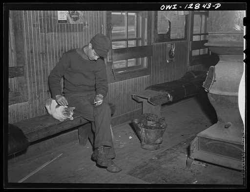 Chicago, Illinois. Playing with the pet cat, which thrives on the workmen's lunches instead of mice, at the yard office at a Chicago and Northwestern Railroad yard