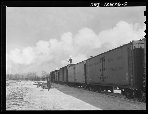 Untitled photo, possibly related to: Chicago, Illinois. In one of the receiving Chicago and Northwestern Railroad yards