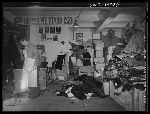 Untitled photo, possibly related to: New York, New York. The War Emergency Board of the fur industry formed a fur vest project. Various fur factories donate the services of their employees one day a week to make fur-lined vests for the merchant marines. The fur is all from voluntary donations from t