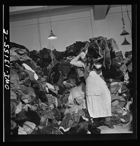 Untitled photo, possibly related to: New York, New York. The War Emergency Board of the fur industry formed a fur vest project. Various fur factories donate the services of their employees one day a week to make fur-lined vests for the merchant marine. The fur is all from voluntary donations from th