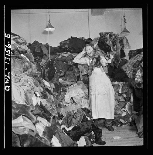 New York, New York. The War Emergency Board of the fur industry formed a fur vest project. Various fur factories donate the services of their employees one day a week to make fur-lined vests for the merchant marine.  The fur is all from voluntary donations from the public. Fur coats being moved from