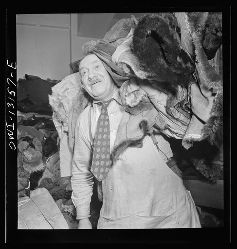 New York, New York. The War Emergency Board of the fur industry formed a fur vest project. Various fur factories donate the services of their employees one day a week to make fur-lined vests for the merchant marine.  The fur is all from voluntary donations from the public. Fur coats being moved from