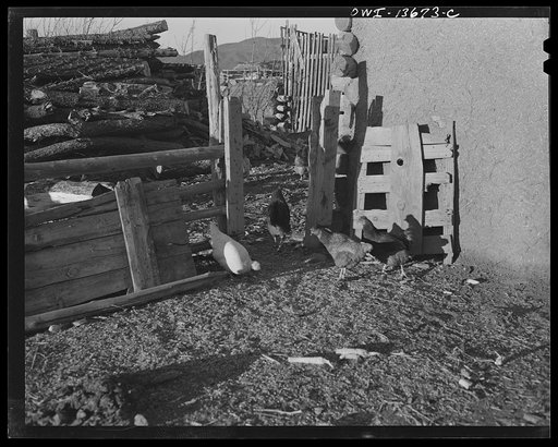 Penasco (vicinity), New Mexico. Scene in a farm yard