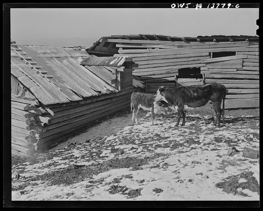 Untitled photo, possibly related to: Truchas, Rio Arriba County, New Mexico