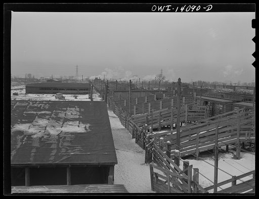Calumet City, Illinois. Part of the Calumet Park stockyards, run by the Indiana Harbor Belt railroad as a stock watering, feeding and resting point. The law requires that stock be watered, fed, and rested every thirty-six hours of a journey