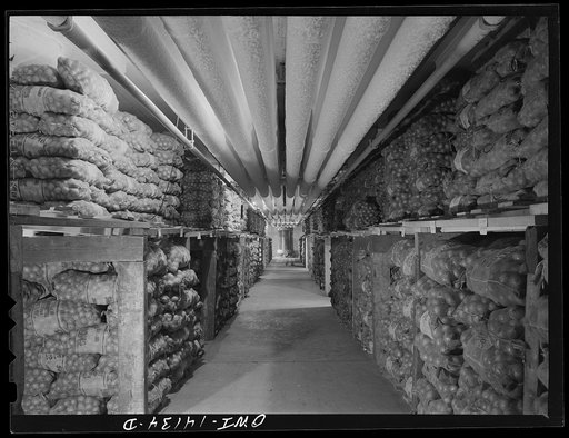 Sacks of onions in cold storage warehouse