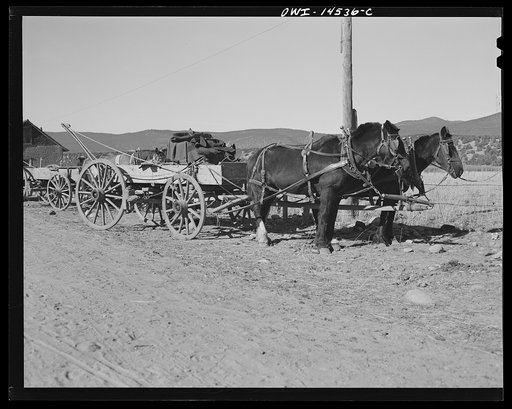 Penasco, New Mexico. Wagons hitched in front of the clinic operated by the Taos County cooperative health association