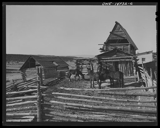 Ojo Sarco, New Mexico. Ojo Sarco Valley is scattered with villages which have grown up around one family. The land is re-divided until its owners are forced to go elsewhere to make cash, while their families remain at home. The villagers gather poles for sheds and corrals in the high mountains, wher