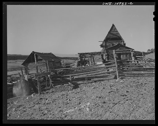 Untitled photo, possibly related to: Ojo Sarco, New Mexico. Ojo Sarco Valley is scattered with villages which have grown up around one family. The land is re-divided until its owners are forced to go elsewhere to make cash, while their families remain at home. The villagers gather poles for sheds an