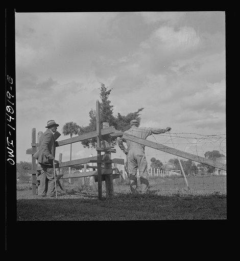 Daytona Beach, Florida. Bethune-Cookman College. Mr. Silas Green, a neighbor stopping to visit with one of the farm hands on the agricultural school grounds