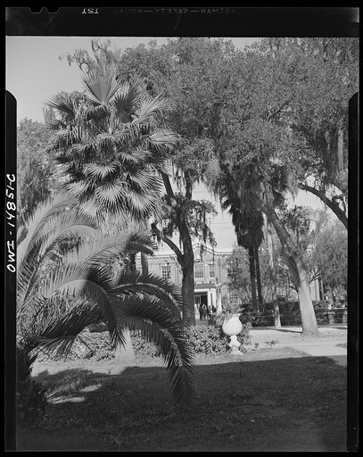 Daytona Beach, Florida. Bethune-Cookman College. View of the campus