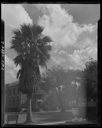 Untitled photo, possibly related to: Daytona Beach, Florida. Bethune-Cookman College