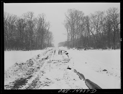Pennsylvania section of the war emergency twenty-four inch pipeline to carry oil from Texas fields to eastern refineries, completed in July 1943. Right of way, with strung pipe running through the woods