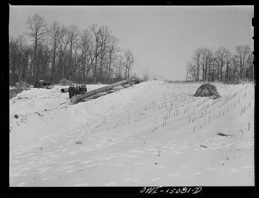 Pennsylvania section of the war emergency twenty-four inch pipeline to carry oil from Texas fields to eastern refineries, completed in July, 1943. Pipeline going through a hillside cornfield