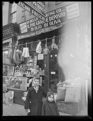 New York, New York. Store on First Avenue between Tenth and Fourteenth Streets which imports Italian and Oriental products