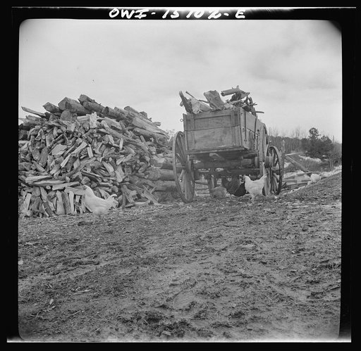 Trampas, New Mexico. Juan Lopez, the majordomo (mayor) [i.e., steward], and his son arriving home with wood which they have gathered in the mountains
