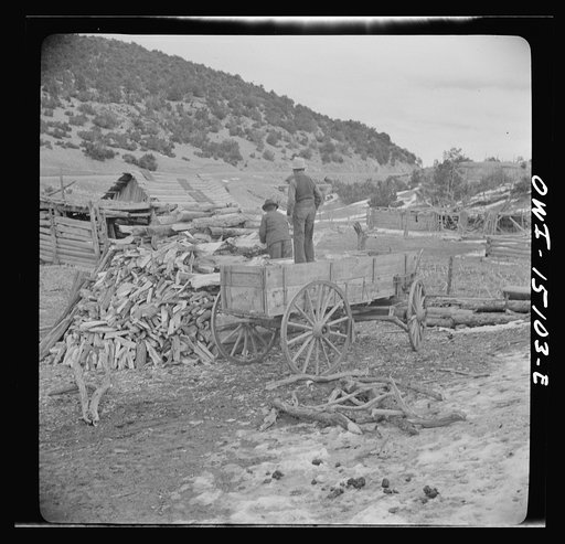Untitled photo, possibly related to: Trampas, New Mexico. Juan Lopez, the majordomo (mayor) [i.e., steward], and his son arriving home with wood which they have gathered in the mountains