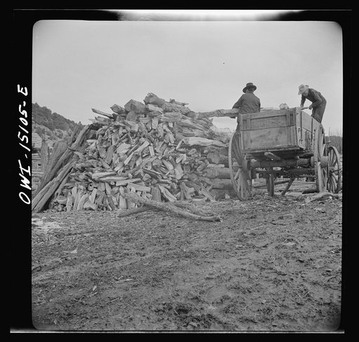 Trampas, New Mexico. Juan Lopez, the majordomo (mayor) [i.e., steward], and his son unloading wood