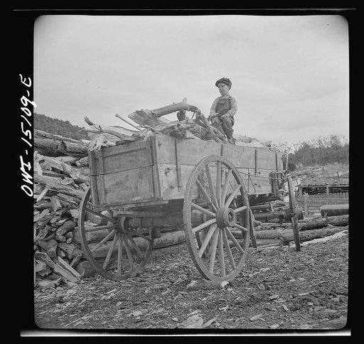 Trampas, New Mexico. Patricio Lopez helping to unload wood for his father, Juan Lopez, the majordomo (mayor) [i.e., steward