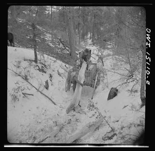 Trampas, New Mexico. Juan Lopez, the majordomo (mayor) [i.e., steward], and his son loading wood which they have split into the wagon