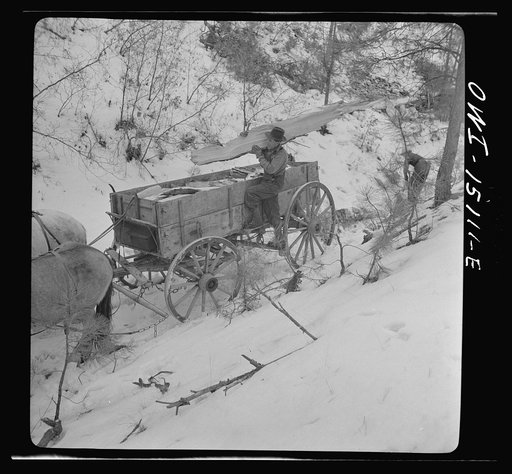 Trampas, New Mexico. Juan Lopez, the majordomo (mayor) [i.e., steward], and his son loading wood which they have split into the wagon