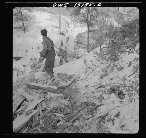 Untitled photo, possibly related to: Trampas, New Mexico. The United States Forest service marked this dead tree. Juan Lopez, the majordomo (mayor) [i.e., steward], and his son cut it down, split it up, and carry it home for fuel