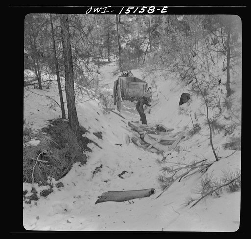 Untitled photo, possibly related to: Trampas, New Mexico. The United States Forest service marked this dead tree. Juan Lopez, the majordomo (mayor) [i.e., steward], and his son cut it down, split it up, and carry it home for fuel