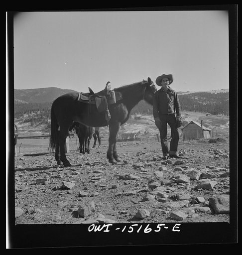 Untitled photo, possibly related to: A Spanish-American rancher. Chacon, Mora County, New Mexico
