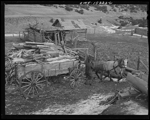 Trampas, New Mexico. Juan Lopez, the majordomo (mayor) [i.e., steward], and his son arriving home with wood which they have gathered in the mountains