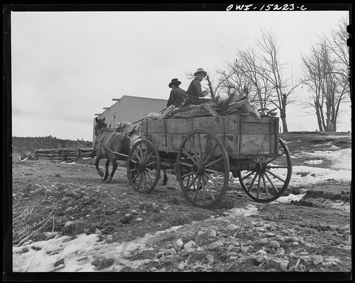 Trampas, New Mexico. Juan Lopez, the majordomo (mayor) [i.e., steward], and his son arriving home with wood which they have gathered in the mountains