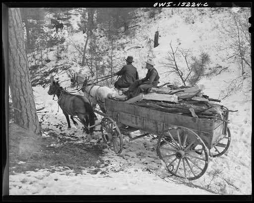 Trampas, New Mexico. Juan Lopez, the majordomo (mayor) [i.e., steward], and his son homeward bound from a trip to the mountains after firewood