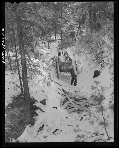 Trampas, New Mexico. Juan Lopez, the majordomo (mayor) [i.e., steward], and his son loading wood which they have split into the wagon