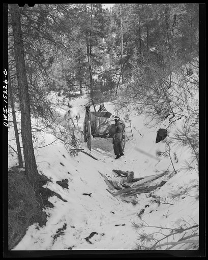 Untitled photo, possibly related to: Trampas, New Mexico. Juan Lopez, the majordomo (mayor) [i.e., steward], and his son loading wood which they have split into the wagon